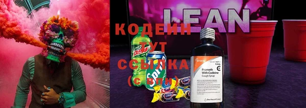 дживик Абинск