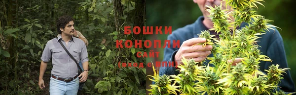 прущий лед Абаза