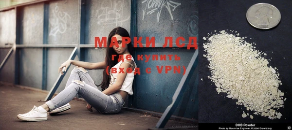 дживик Абинск