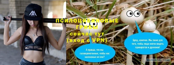 дживик Абинск