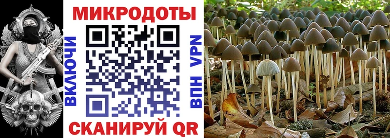 Псилоцибиновые грибы ЛСД  Тбилисская 